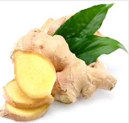 Wholesale organic fresh ginger price