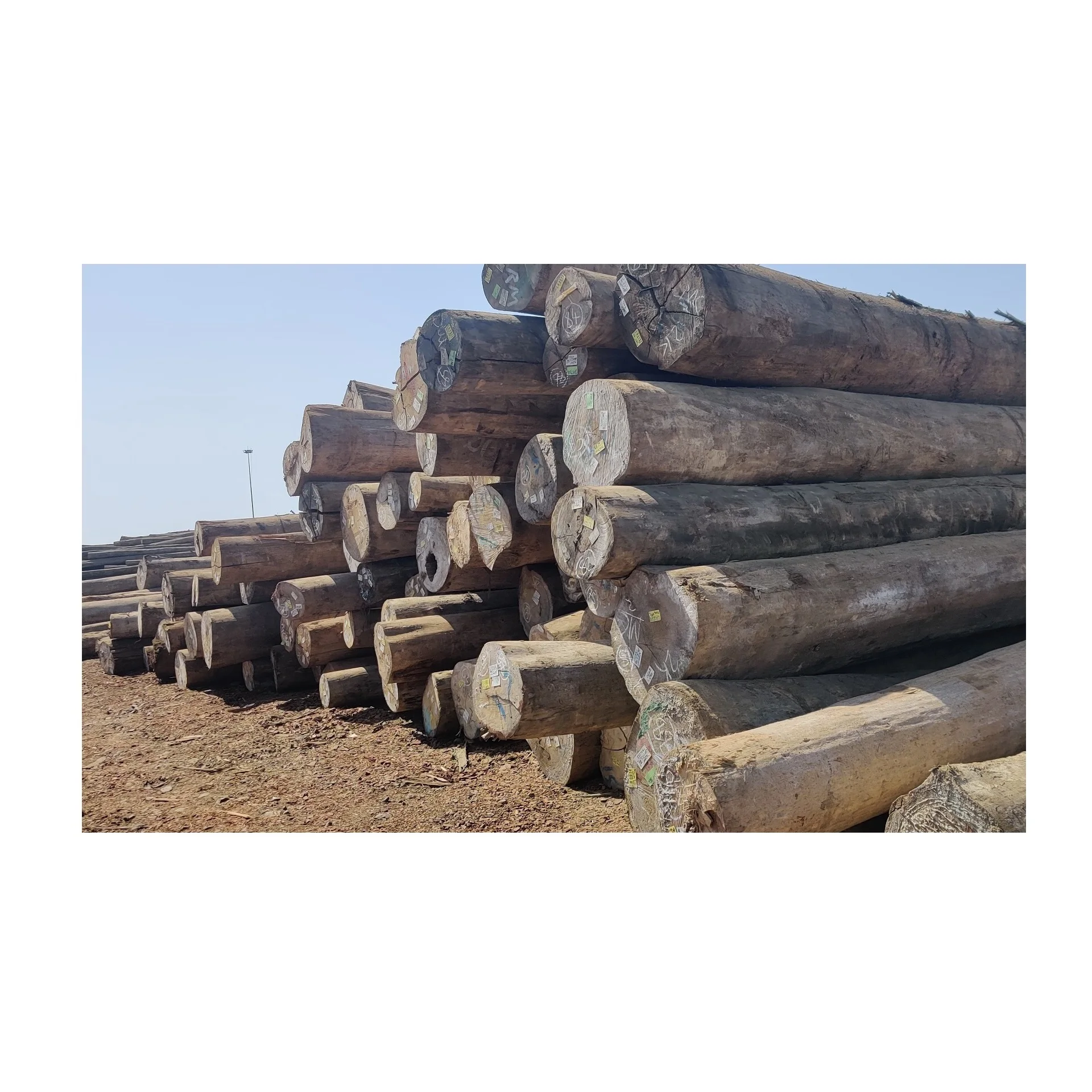 Meranti Wood for Sale at Best Price Online