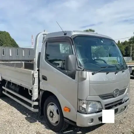 BUY USED Hinos Dutros Truck 2018 Model For Sale