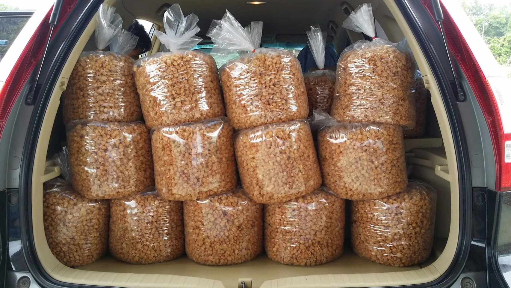 Thai Dried longan Shredded Grade