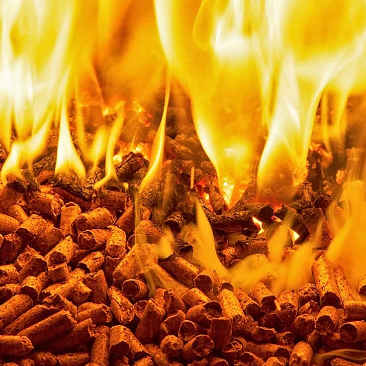 Wood Pellets Manufacturers / Quality Wood Pellets 6mm-8mm For Sale