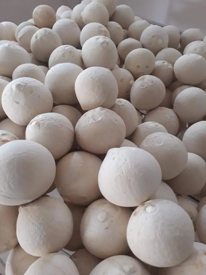 [Best Selling 2022] Top Quality Wholesale Good Price Organic Fresh Young Coconut 100% From Viet Nam