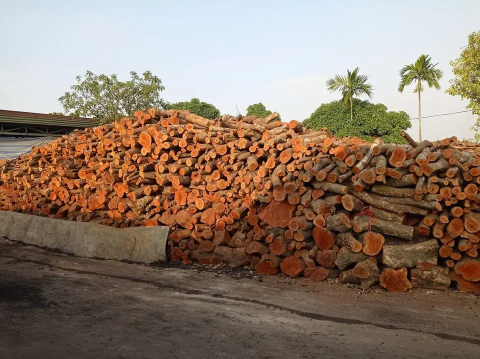 Натуральная древесина из личи/акации по лучшей цене длительное время горения Бездымная натуральная