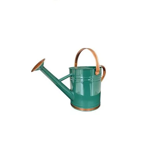 Aluminum Watering Cane Silver Finishing Hot Selling Home And Garden Use  Water Planter Jug Canes Modern Design Best Quality