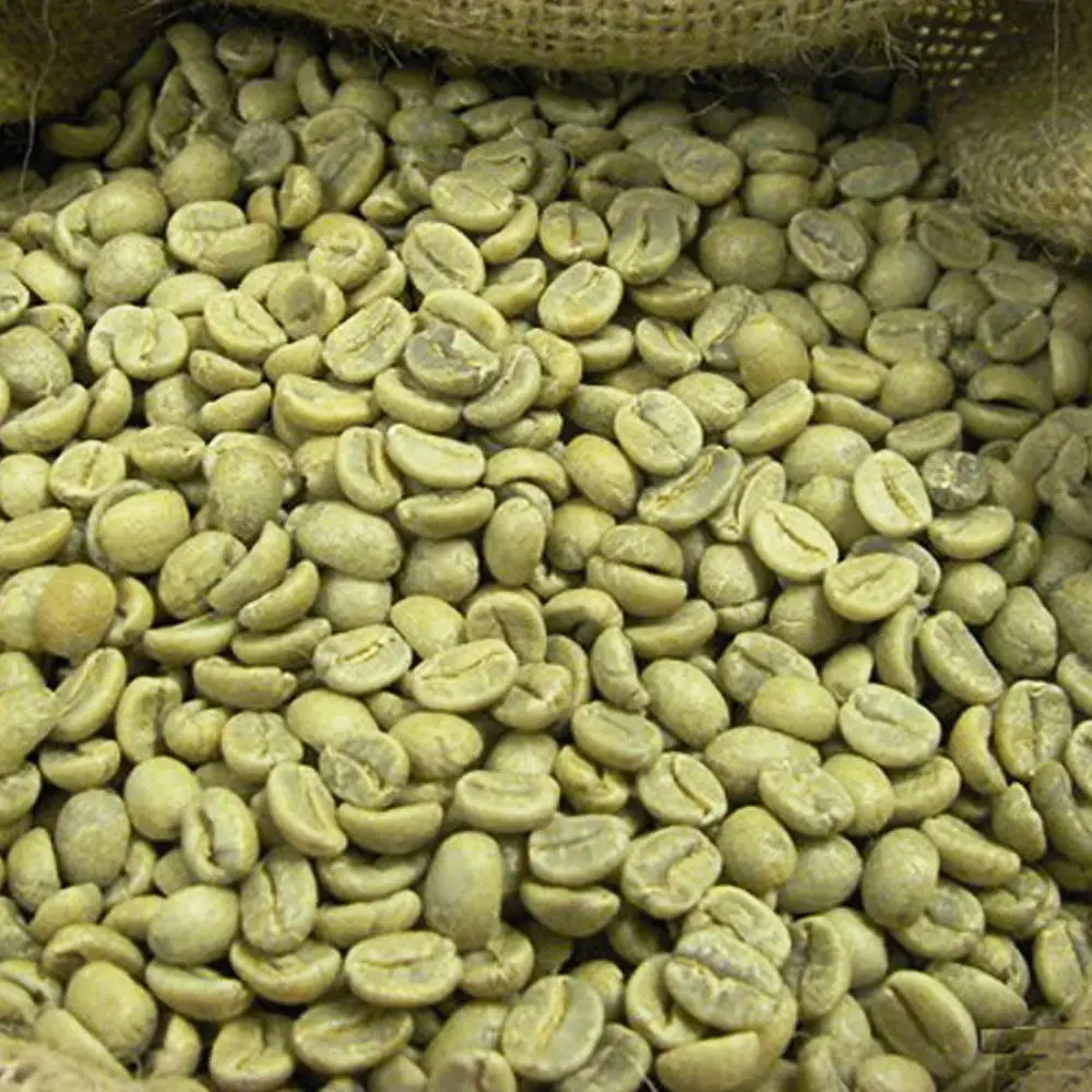 FULLY CERTIFIED ARABICA GREEN COFFEE BEANS ARABICA COFFEE BEANS VIETNAM WITH BEST PRICE FROM PRESTIGIOUS SUPPLIER +84363565928