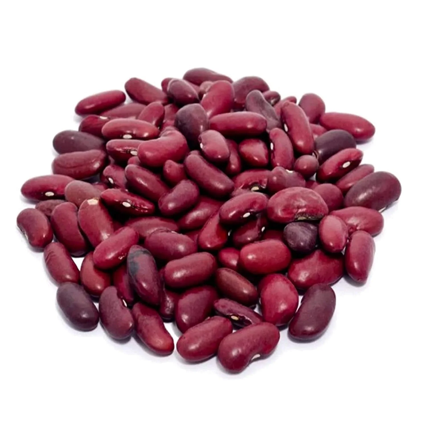 canned red kidney beans in brine with good quality for whole world