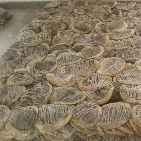 Dry Salted Beef Omasum
