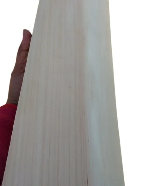 Practice Hard Tennis Ball Cricket Bat Wood Solid Item Material Origin Type Hard Product Place Model