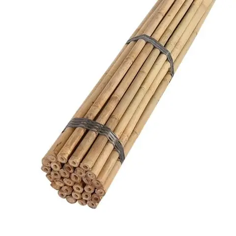 Sunbelt Factory Wholesale Cheap Price Natural Artificial Bamboo Poles for Indoor Outdoor Decoration