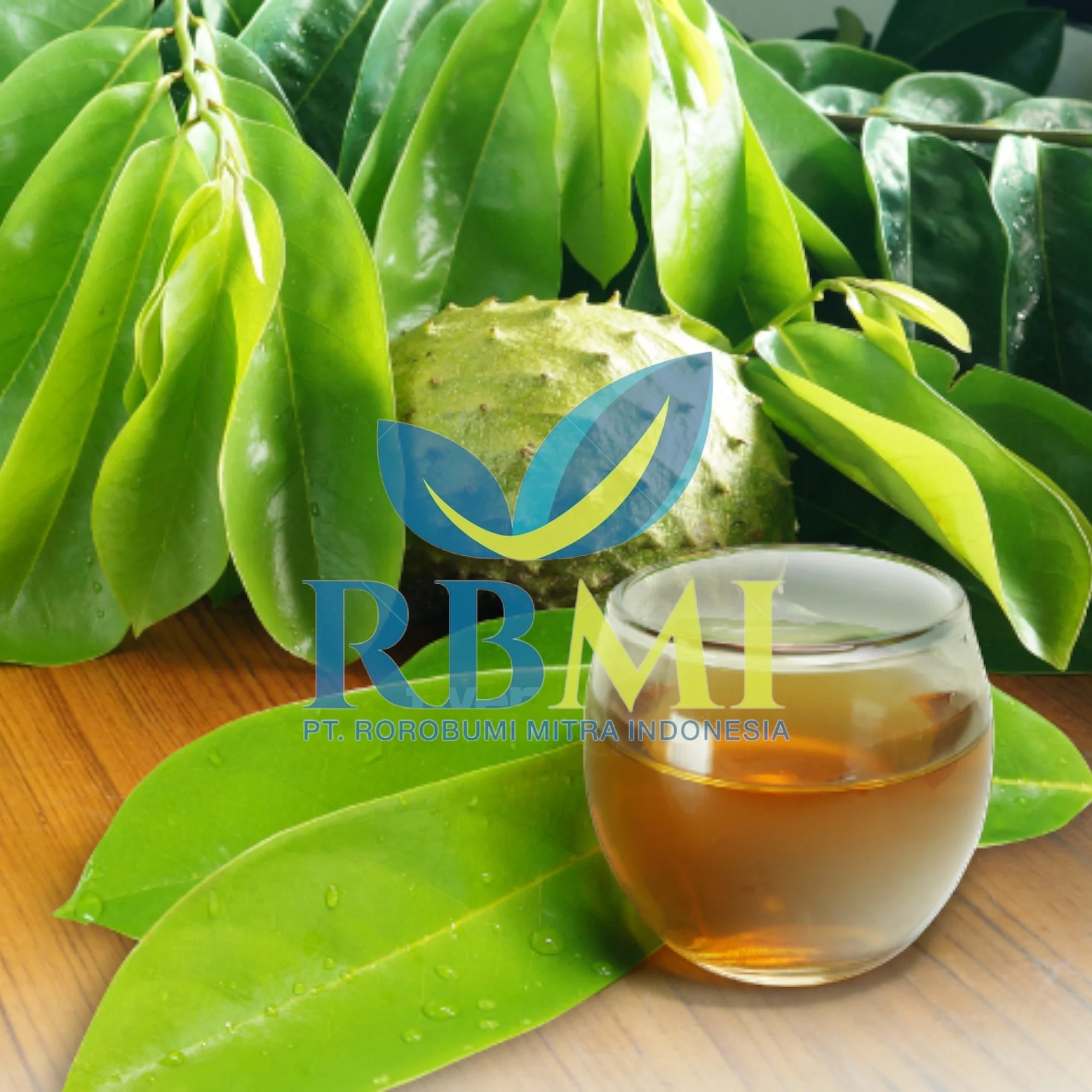 premium quality soursop leaves FROM Indonesia with COMPETITIVE PRICE