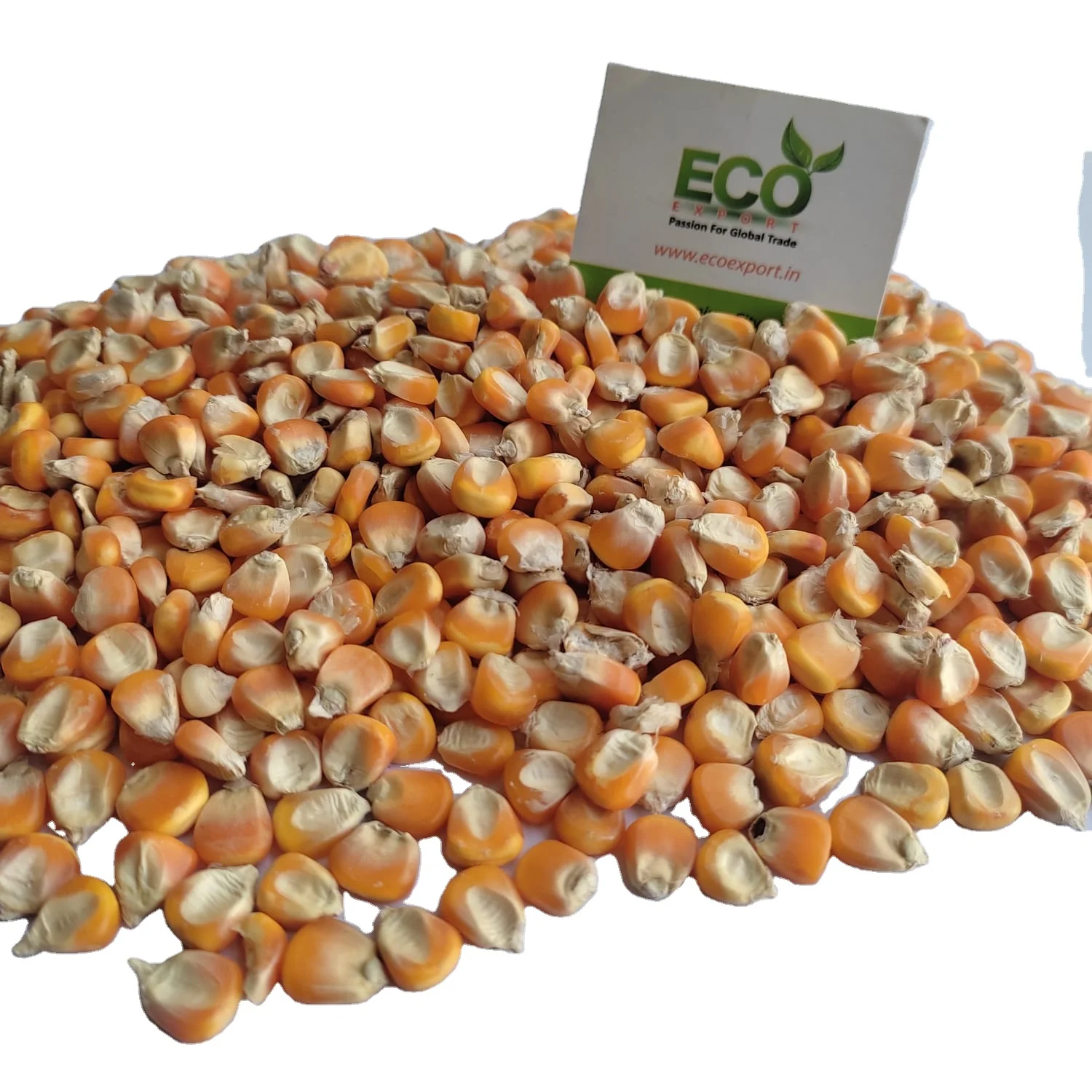 Горячая Распродажа желтая кукуруза и красная Кукуруза/высушенная сладкая замороженная кукуруза/Кукуруза для людей