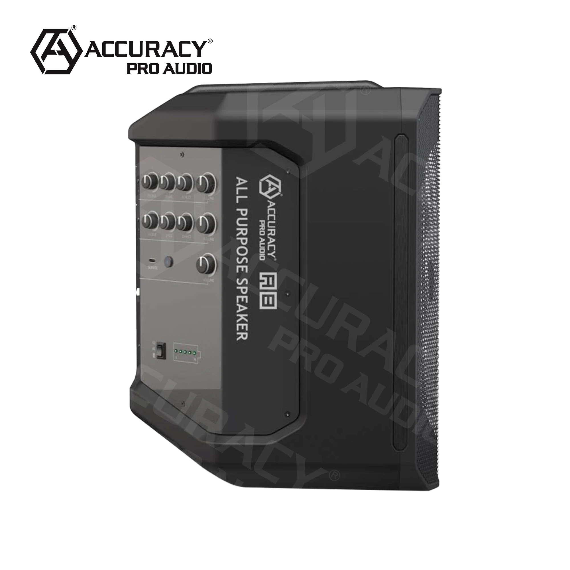 Experience Superior Sound with Accuracy Pro Audio A8 Portable Speaker