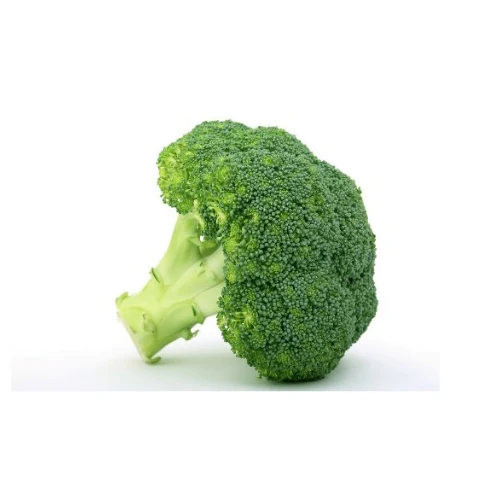 Good Quality Wholesale Fresh Broccoli Hot Sale High Quality Fresh Broccoli Factory Low Price Broccoli