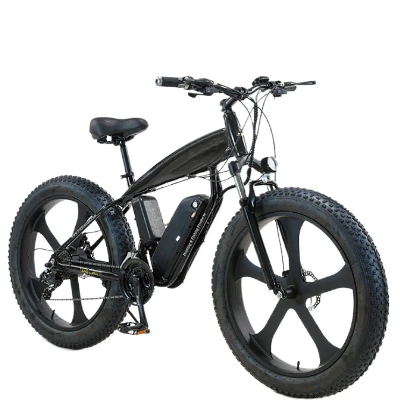 DOOK ebike пляжный Электрический горный велосипед 1000 Вт 48 В внедорожный толстый электрический мотоцикл для снега