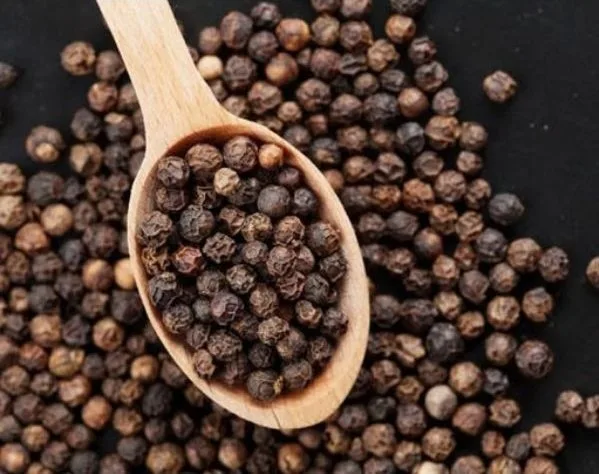 Wholesale Bulk Spice Natural Taste 20kg/carton Support Customize 570 GL Style Packing  Black Pepper Vietnam