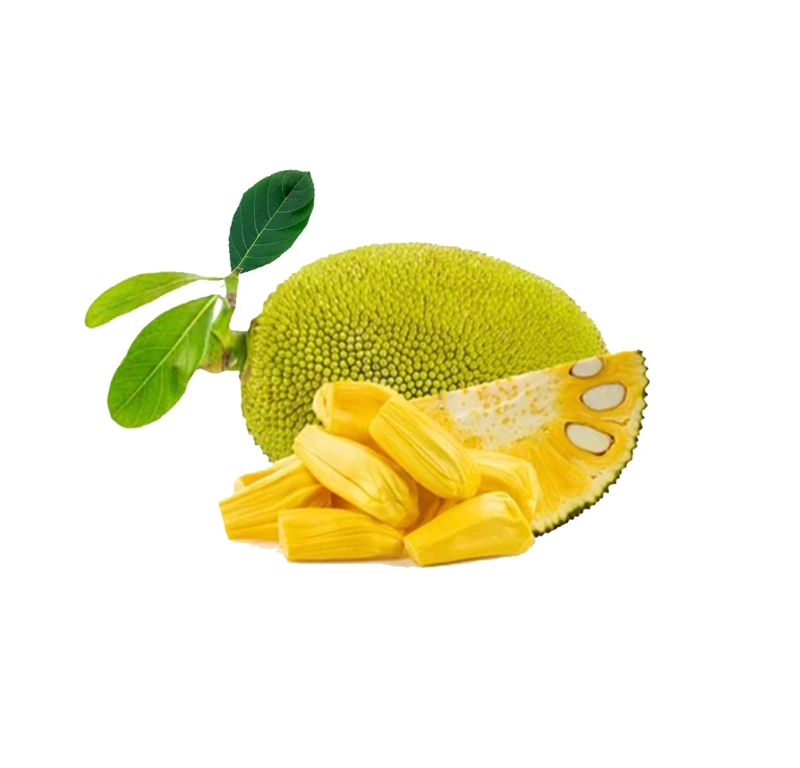 Good Quality Tropical Fruit Sweet Taste Fresh Jackfruit 100% Natural Yellow Color International Certificate