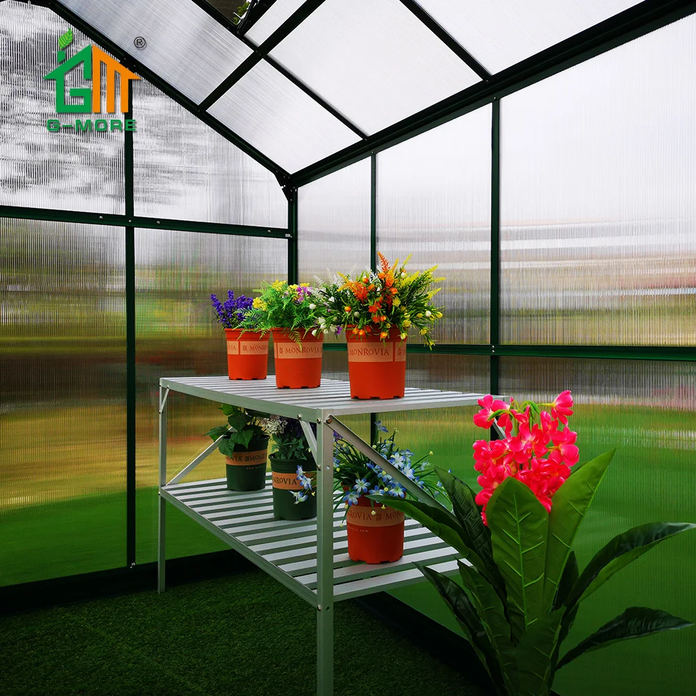 G-MORE Lite Series 8 X 6 FT PC Greenhouse Aluminum Greenhouse