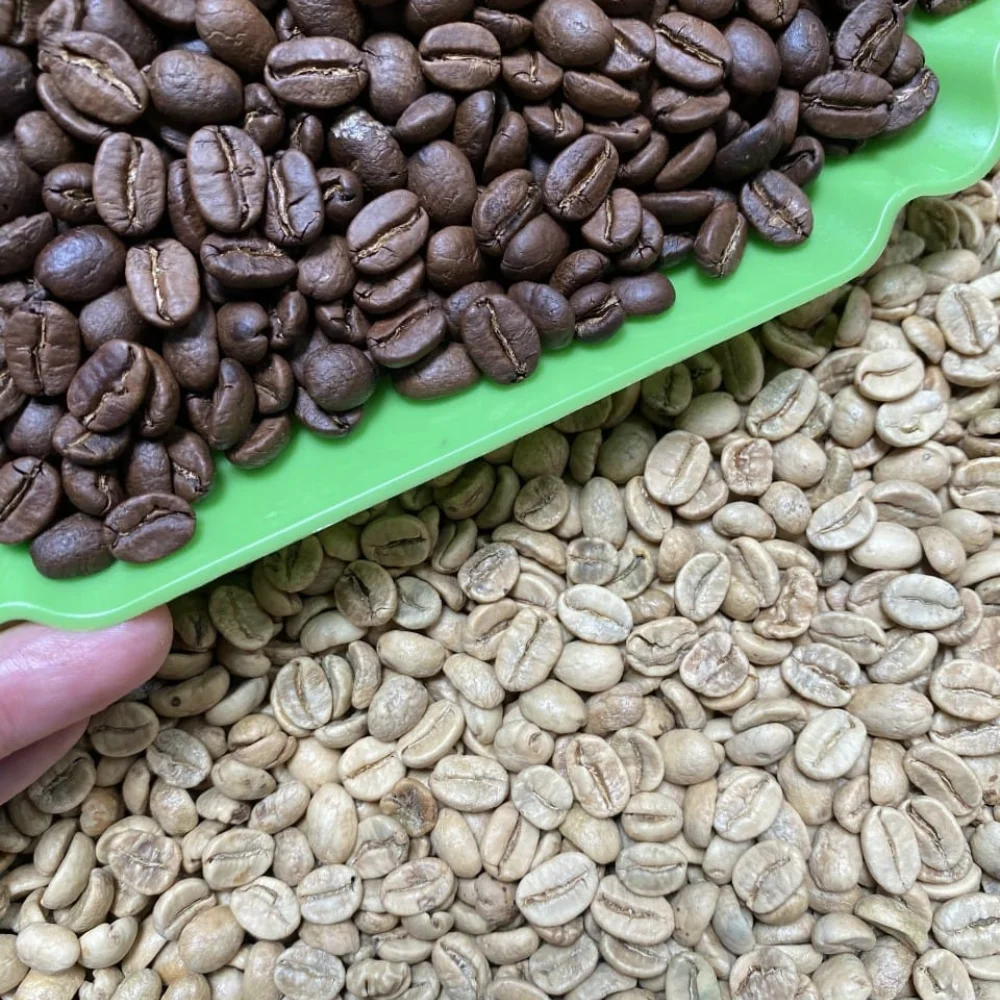 Wholesale Green Bean Coffee High Grade Robusta S18 Green Bean Coffee From Vietnam For Export Ready To Ship