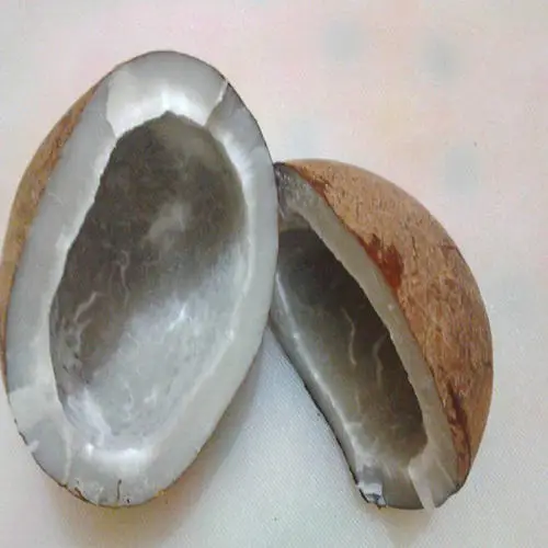 Best Selling Half Cut Copra For Eat