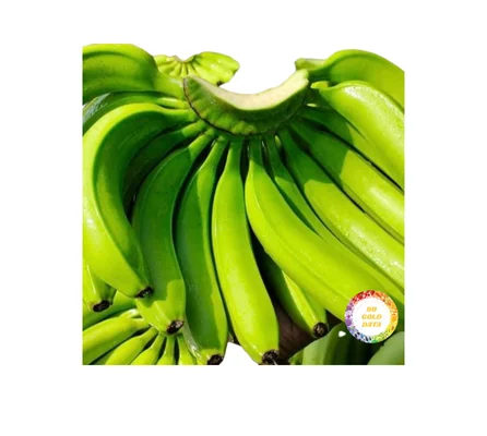 Fresh Cavendish Bananas From Vietnam - Premium Quality at the Best Price