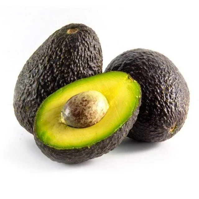 High Quality Fresh Hass Avocado Best Price Tropical Green Fruit Direct Export