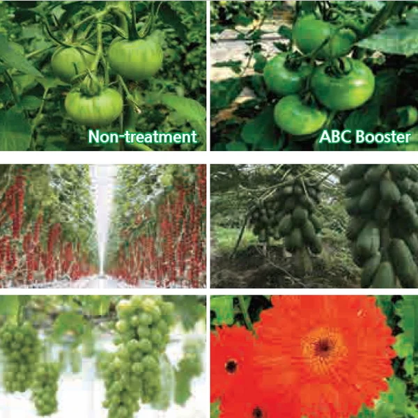 ABC booster, ABC coloring, ABC sugaring, ABC Silicic acid