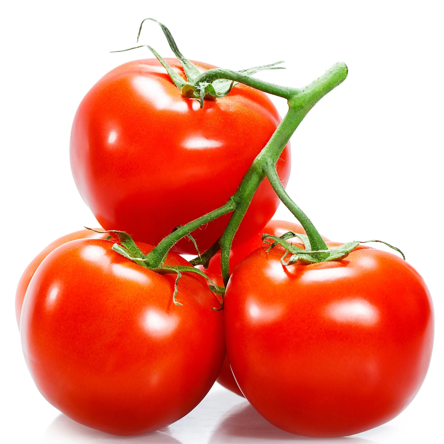 Fresh Delicious High Quality Red Tomato For Sales
