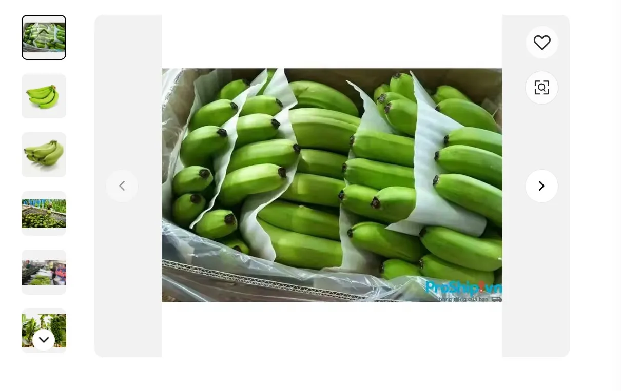 Cavendish Banana - Fresh Green Banana - Fresh