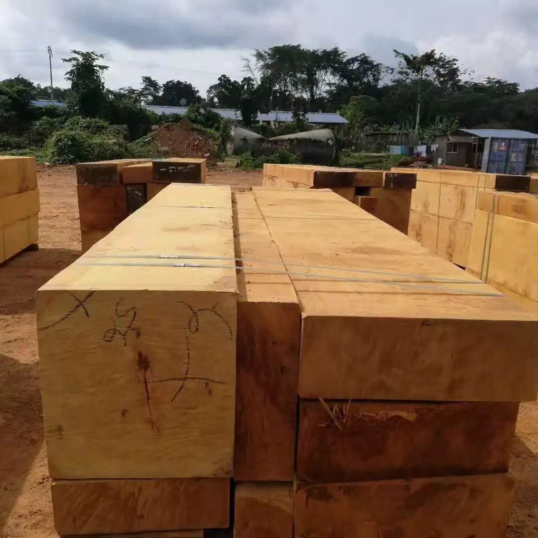 Bilinga sawn timber from Gabon, High quality with low price