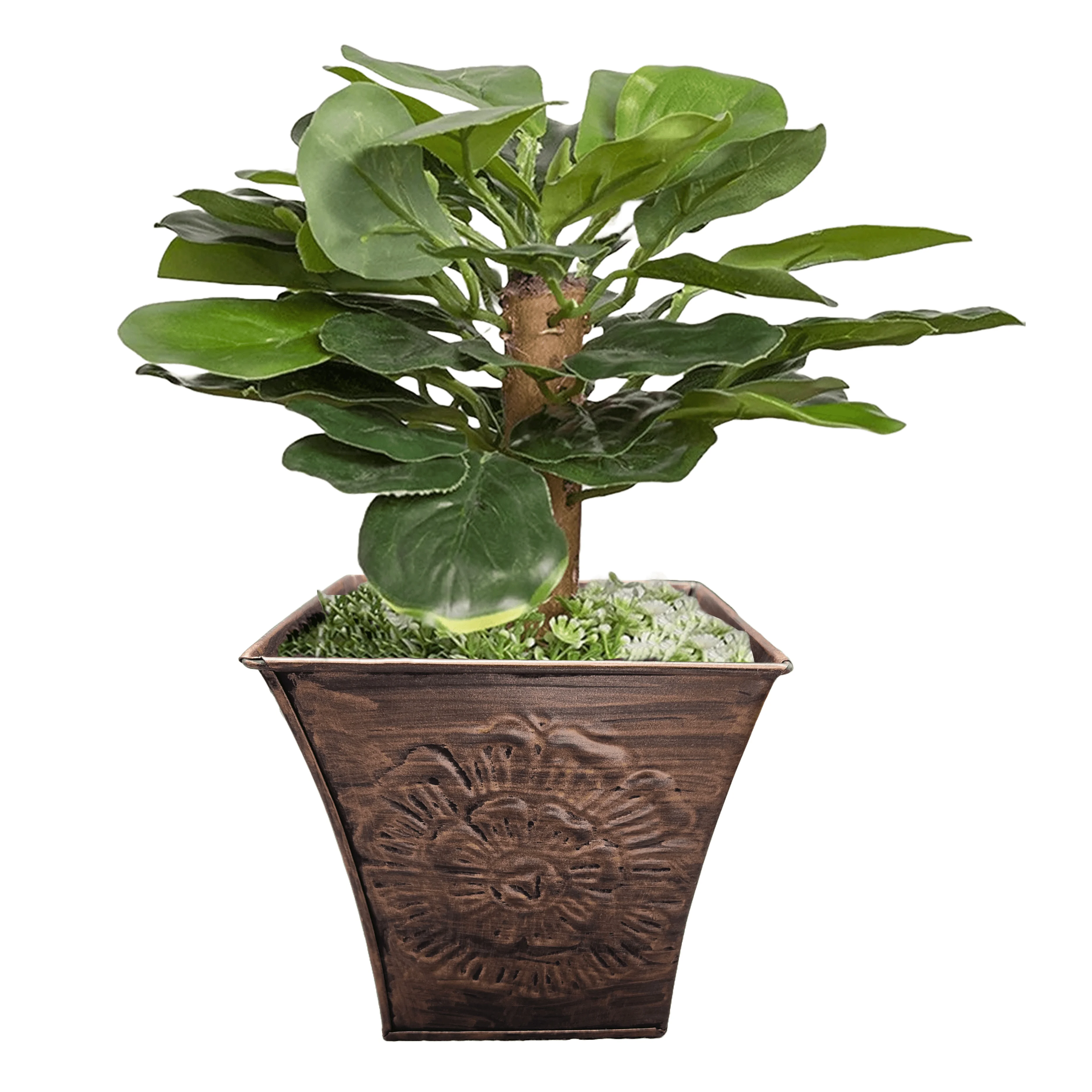 New Design Large Black Antique Iron Planter Pots Square Shaped with Tabletop Usage for Home Garden Decoration Custom Size