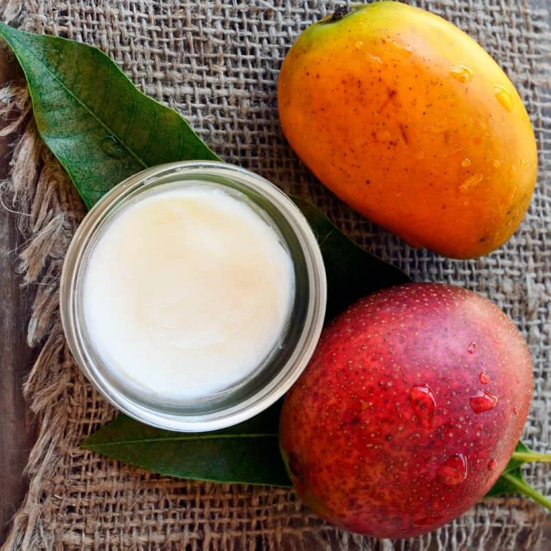 Wholesale Suppliers and Exporters from South India for High Quality Mango Butter Used as Skin Care with Good Packing and Price