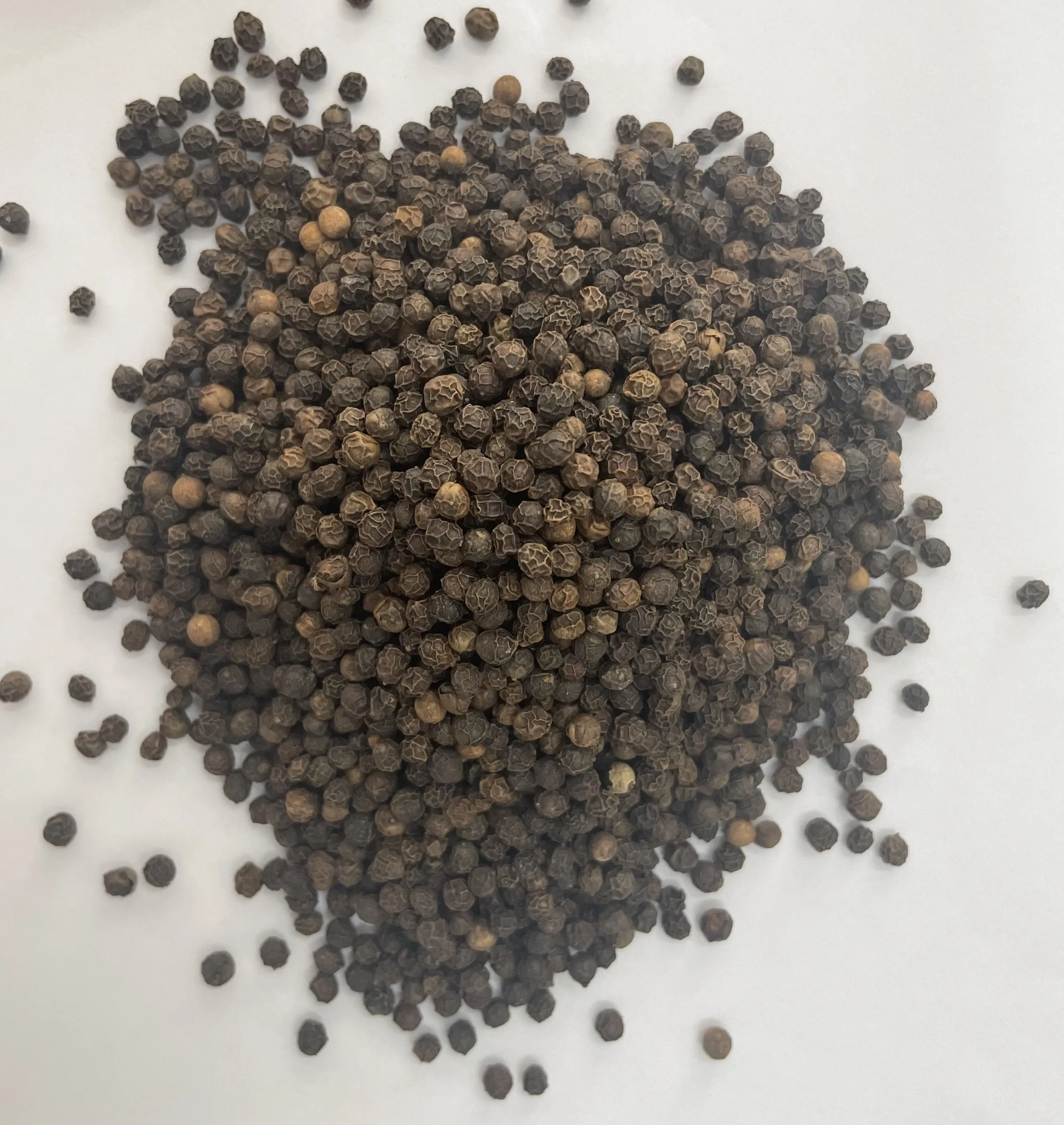 Black pepper 550GL  Machine cleaned and sterilized Service Cooking Purchase Vietnam Trading Professional High Quality