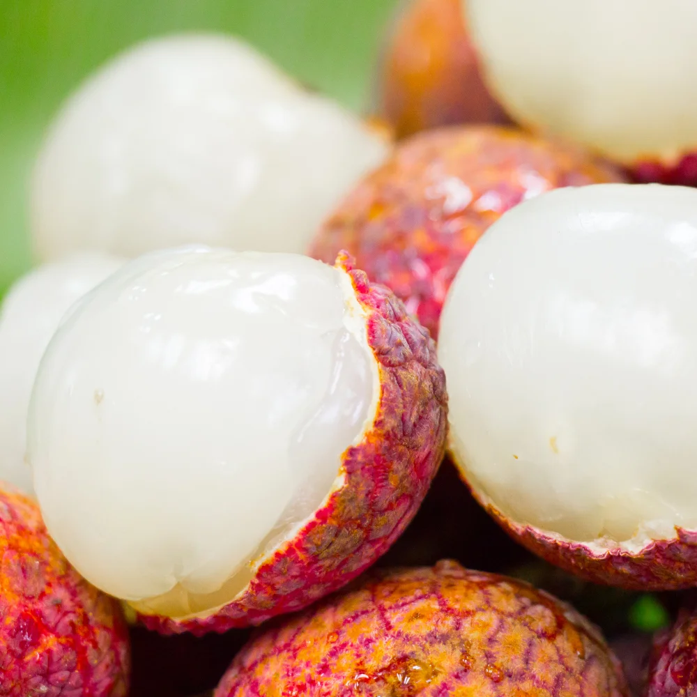 High Quality Fresh Fruit From Vietnam Wholesale Fresh Lychee Best Price For Tropical Fruit Ready To Ship