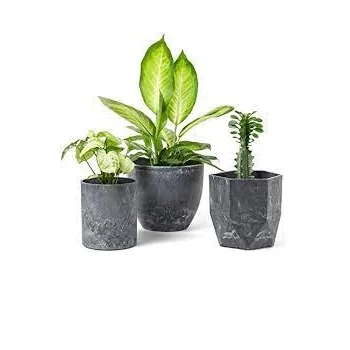 Set of Three Metal Planter Customized Design Glossy Finishing Flower Planter Decoration Use Supplier by India