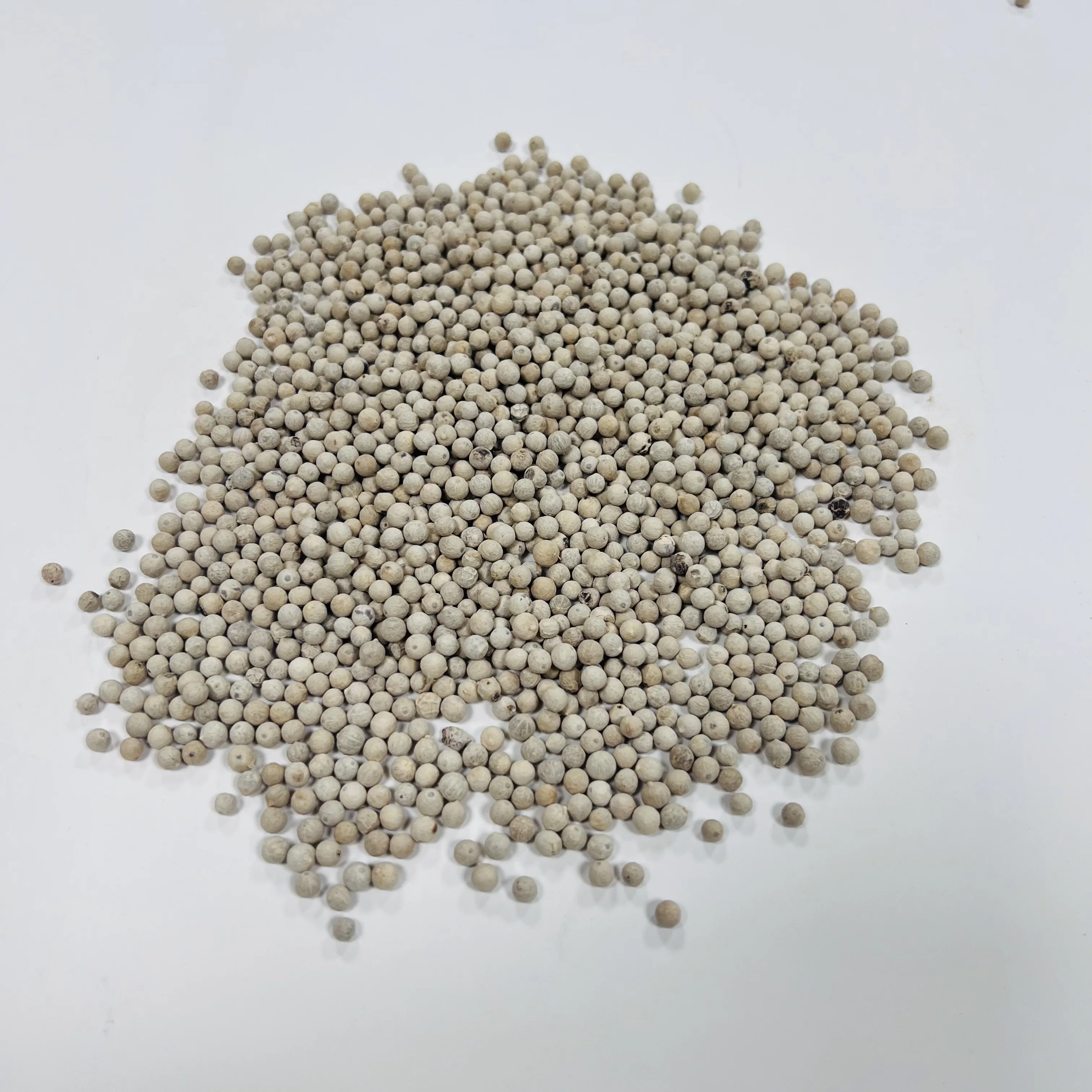White Pepper seed Vietnam herbs and spices food ingredients Organic Dried peppercorn wholesales price premium quality