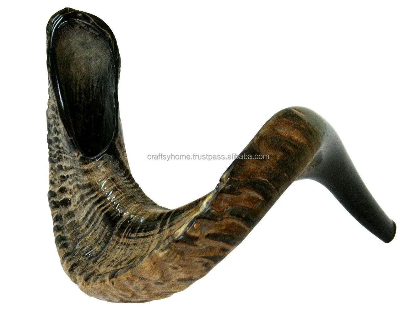 Ram Horn Shofar Natural Horn Shofar For Blowing Top Quality Kosher Shofar Kudu Polished Ram Horn at Low Price