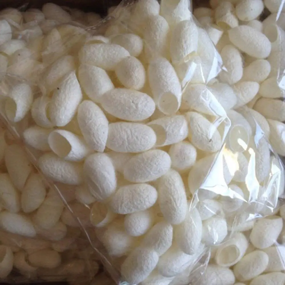 Ecofriendly Silk Cocoon For Skicare and Face / Silkworm Vietnam For Cosmetics
