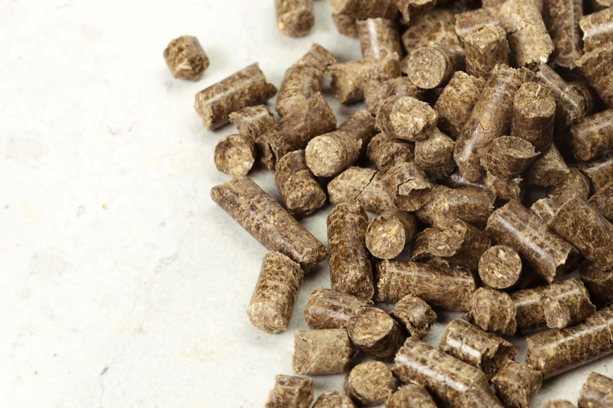PELLETS3.jpeg