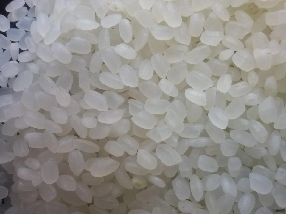 JAPONICA RICE /ROUND RICE EXPORTER FROM VIETNAM