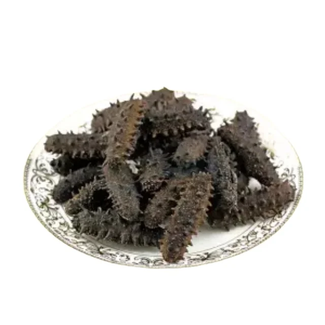 Wholesale Greece High Quality Fresh Seafood Fresh Delicious Dried Wild Animal Sea Cucumber