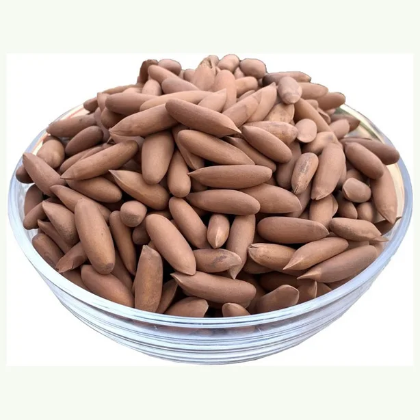 Bulk Organic Pine Nuts at Wholesale Prices High Quality Low Price Organic Pine Nuts for Sale Good Price