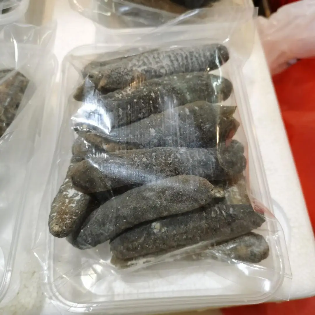 Original Straight Shape Nutritious dried sea cucumber Cheap wild fresh VietNam New