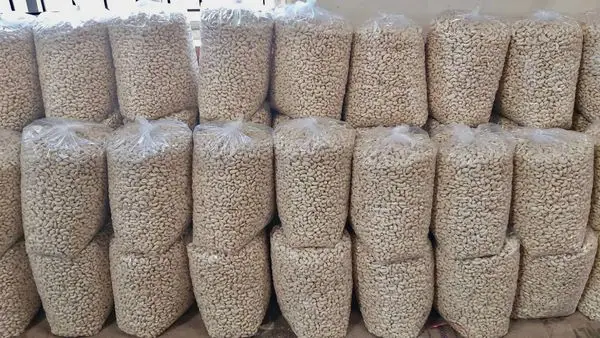 Great quality cashew nuts in bulk, cashew