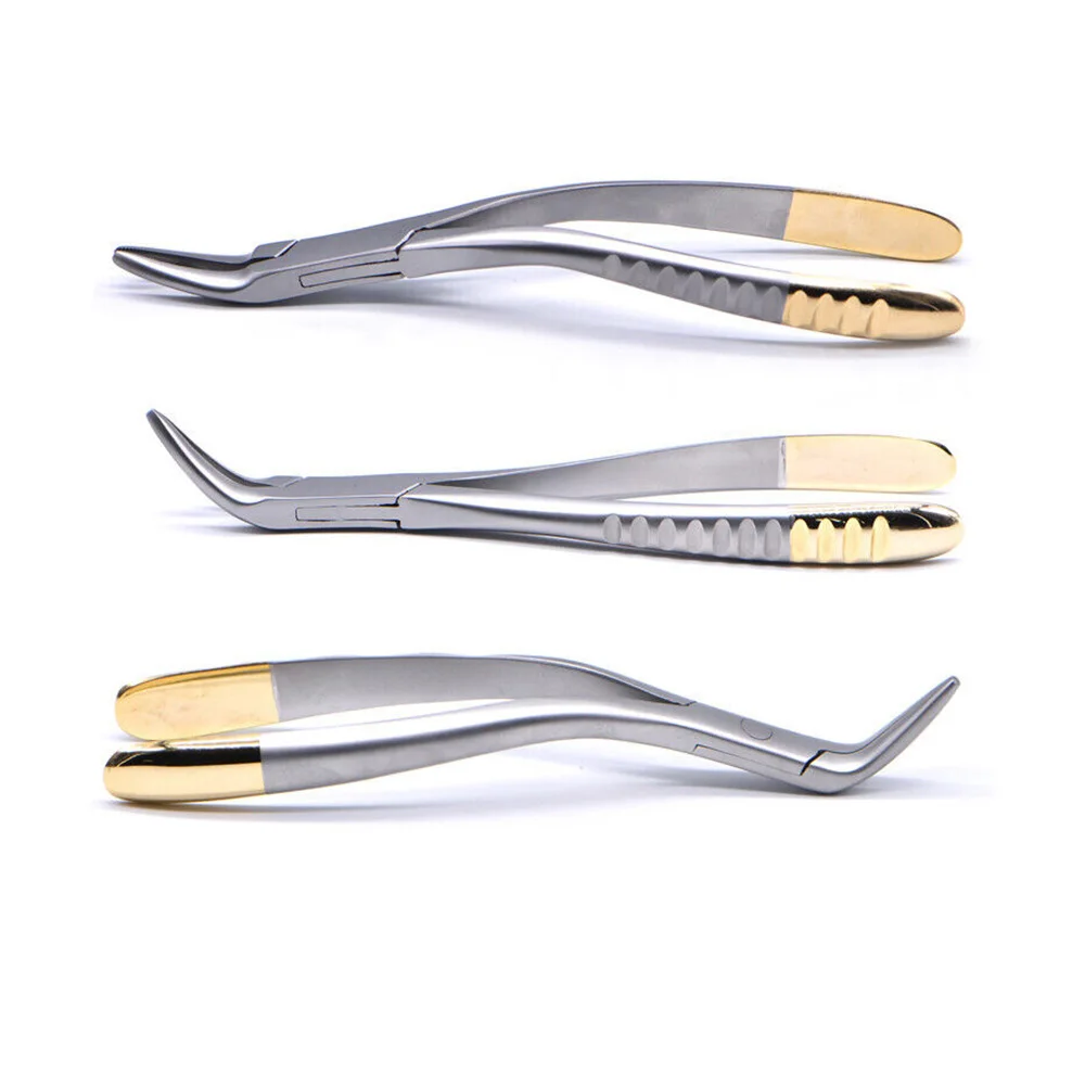 Premium Stainless Steel Dental Extraction Forceps for Effective Tooth Extraction