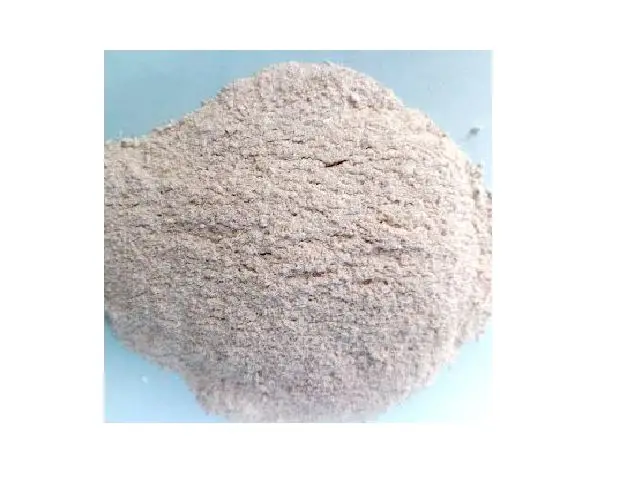 High Quality Oyster Protein Oyster Shell Powder Calcium Oyster Shell Extract Powder ANGLE