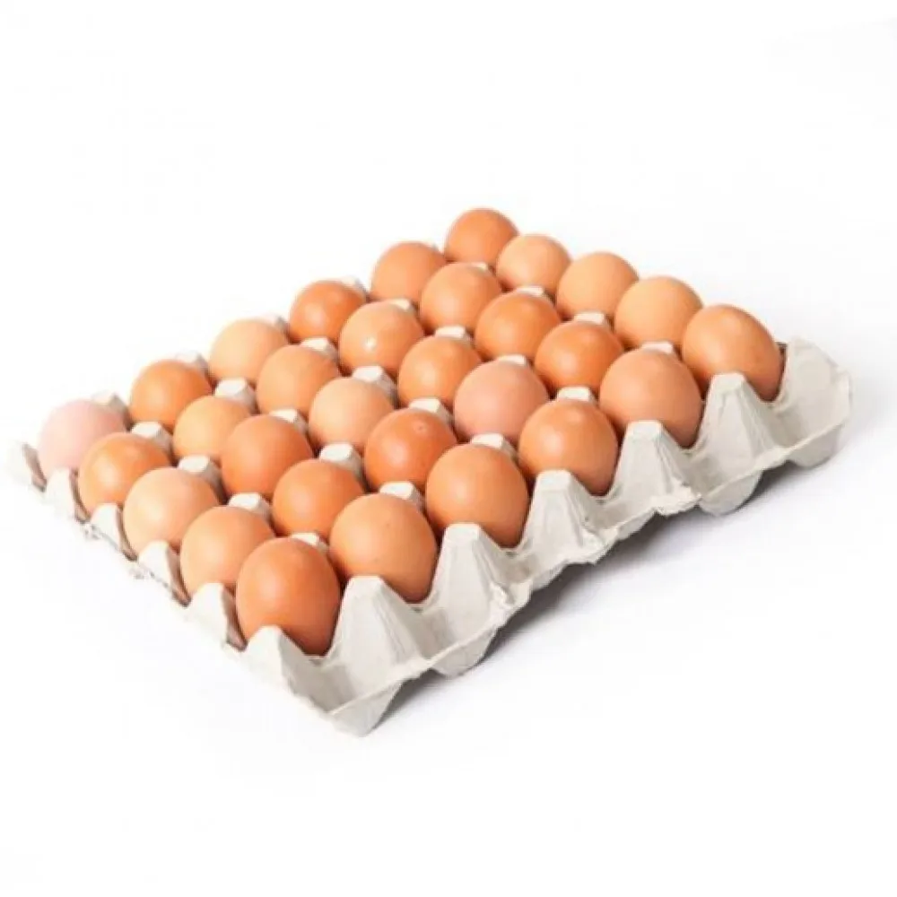 Chicken eggs in bulk price from Germany