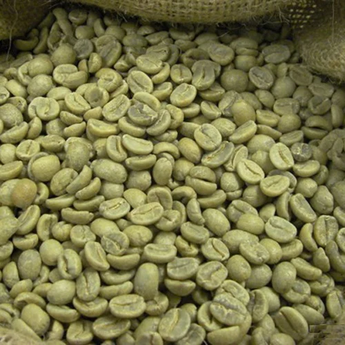 Cheap  Price ROBUSTA COFFEE / ARABIA COFFEE/GREEN COFFEE BEANS