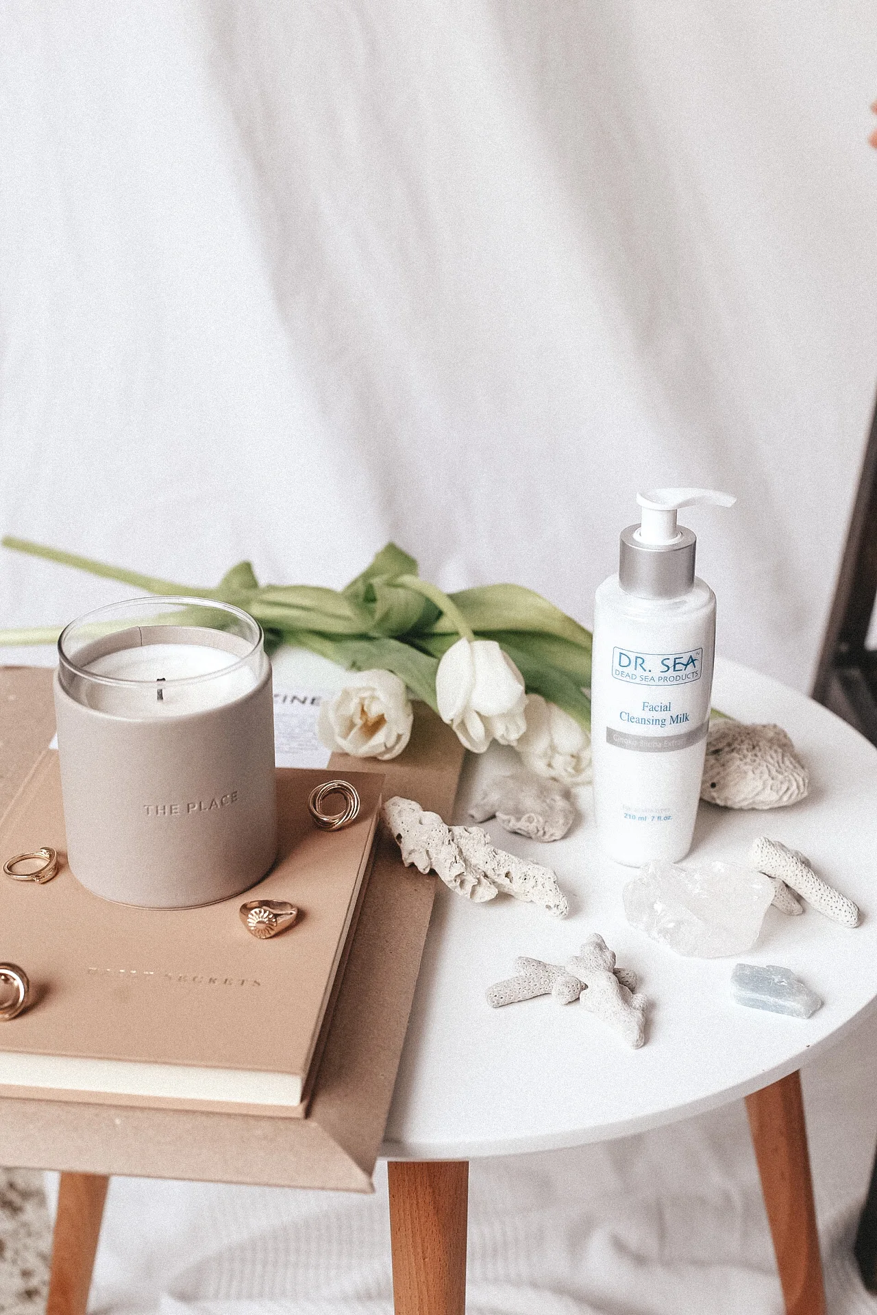 Luxury Facial Cleansing Milk Gingko Biloba Extract by Dr. SEA Cosmetics Israel Dead Sea Products Free Samples Fast Delivery