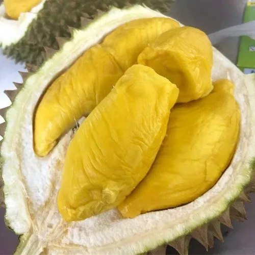 Frozen Durian Fruits - Viet Nam Organic Durian from Non-GMO farmers WhatsApp +84988667319