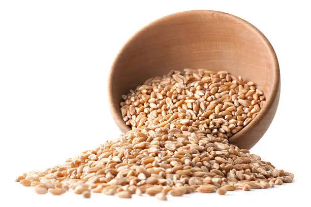 Hot Sales Delicious Taste High Grade Quality Soft and Hard Wheat Grains/Premium Quality